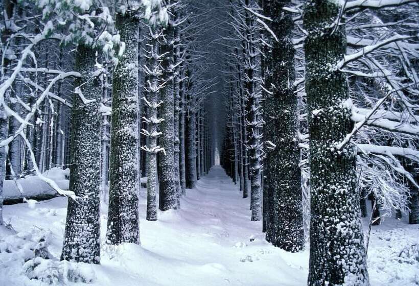 호텔 Riverglade Caravan Park