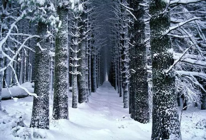 ホテル Riverglade Caravan Park