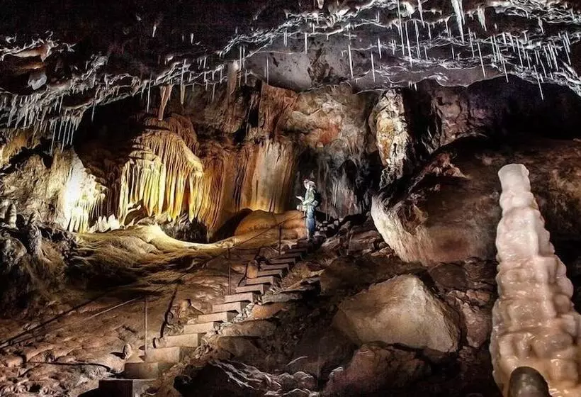 ホテル Riverglade Caravan Park