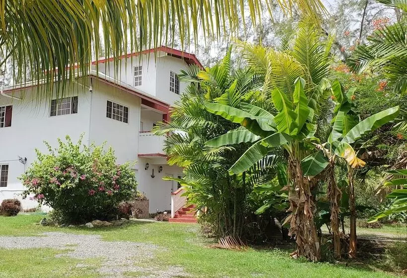 پانسیون Tranquil Guest House