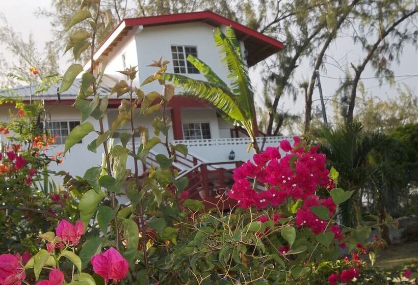 پانسیون Tranquil Guest House