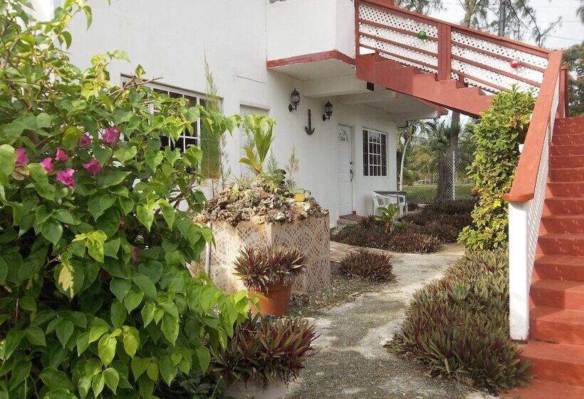 پانسیون Tranquil Guest House