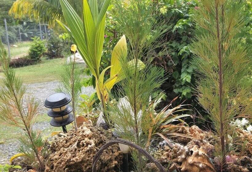 پانسیون Tranquil Guest House