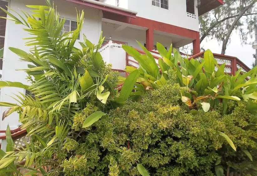 پانسیون Tranquil Guest House