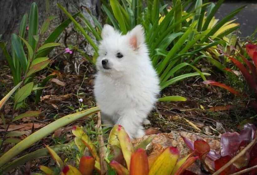 בית מלון כפרי Mapleton Cabins & Caravan Park