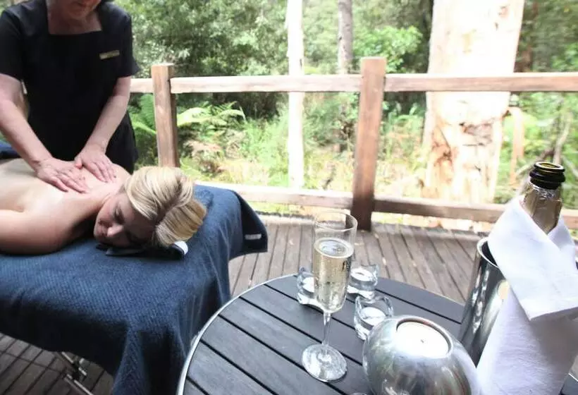 Woodlands Rainforest Retreat