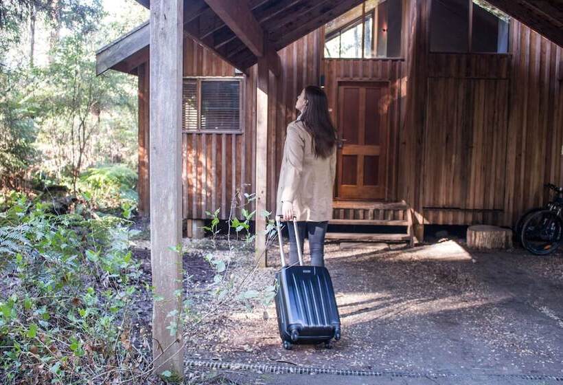 Woodlands Rainforest Retreat