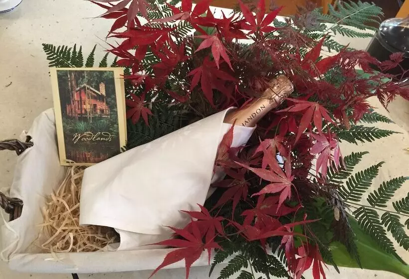 Woodlands Rainforest Retreat