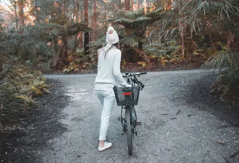 Woodlands Rainforest Retreat