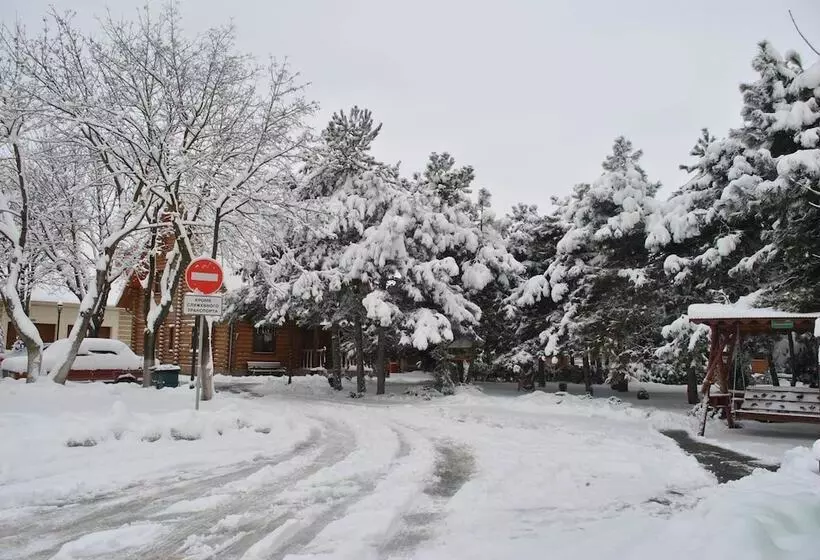 هتل Kompleks Otdykha Elki Palki