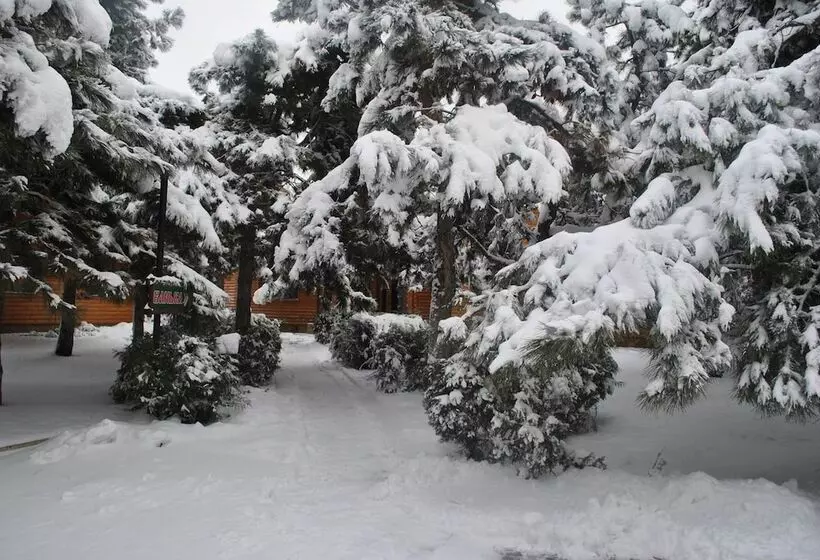 هتل Kompleks Otdykha Elki Palki