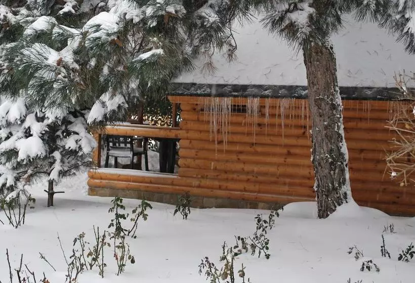 هتل Kompleks Otdykha Elki Palki