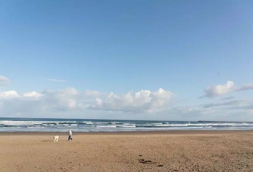 Hotelli Oceanside Beachfront Rv Resort