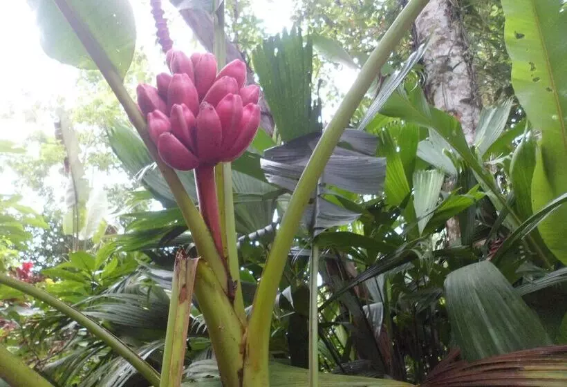 هتل Valle Azul