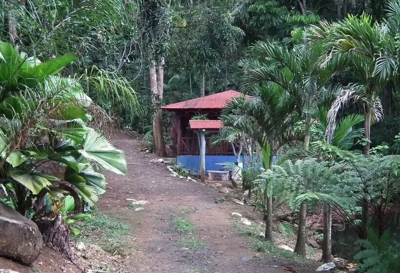 هتل Valle Azul