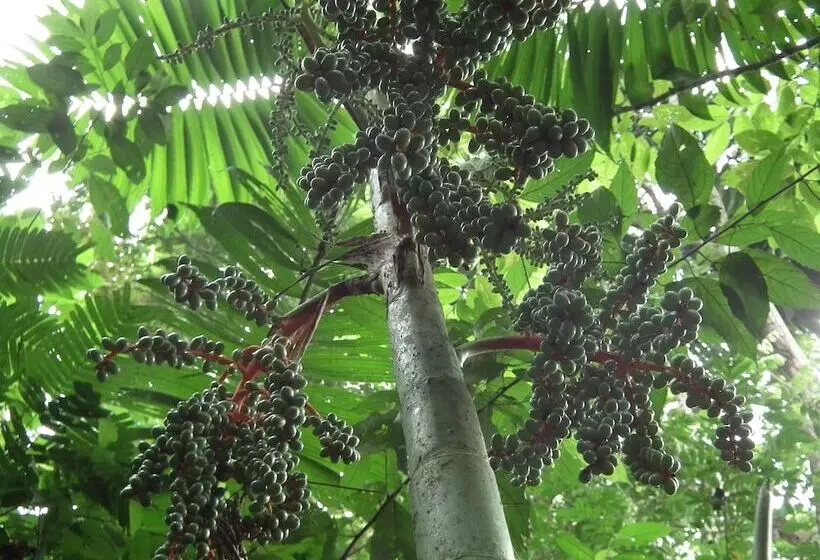 هتل Valle Azul