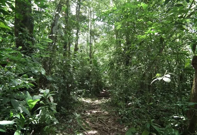 هتل Valle Azul