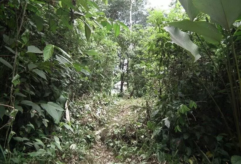 هتل Valle Azul