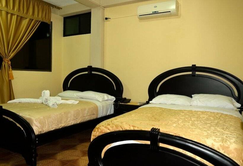 פנסיון Flightless Cormorant