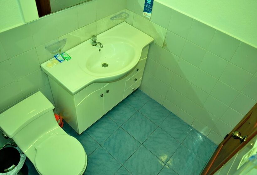 פנסיון Flightless Cormorant