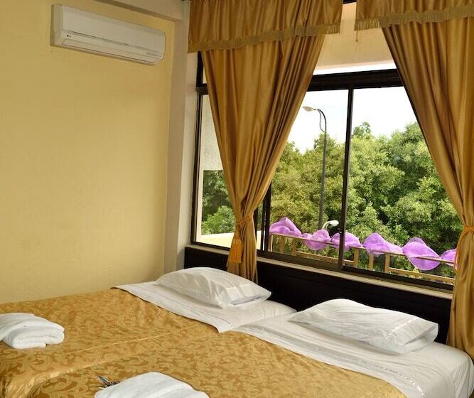 פנסיון Flightless Cormorant