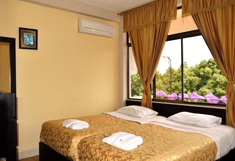 פנסיון Flightless Cormorant