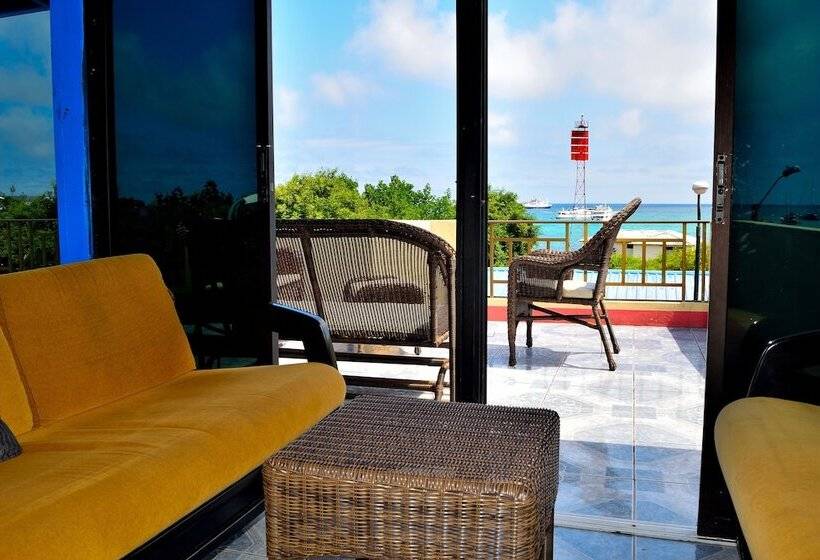 פנסיון Flightless Cormorant