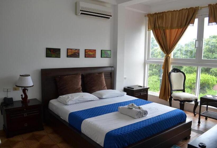 פנסיון Flightless Cormorant