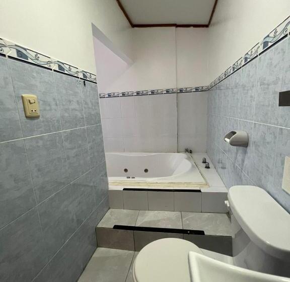 פנסיון Flightless Cormorant