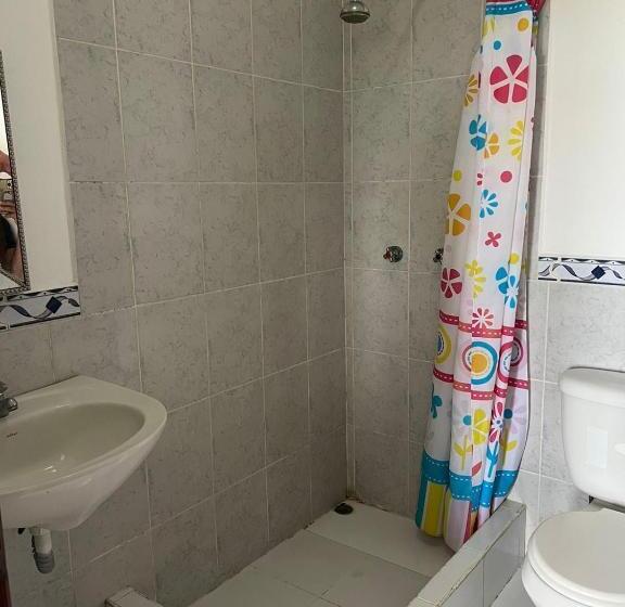 פנסיון Flightless Cormorant