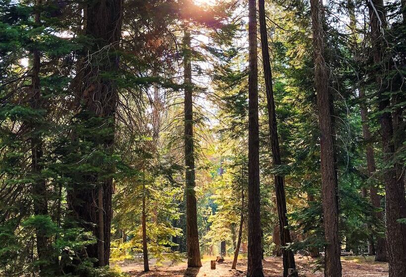 Tahoe Valley Campground