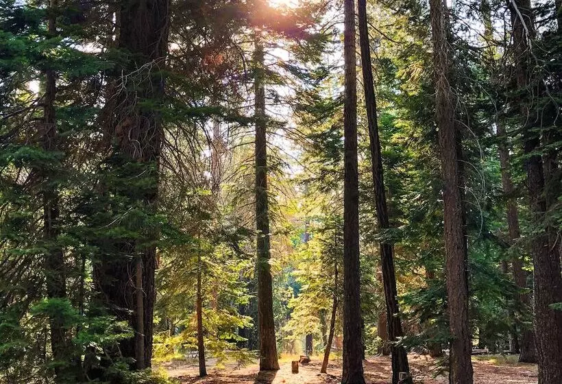 Tahoe Valley Campground