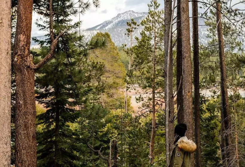 Tahoe Valley Campground