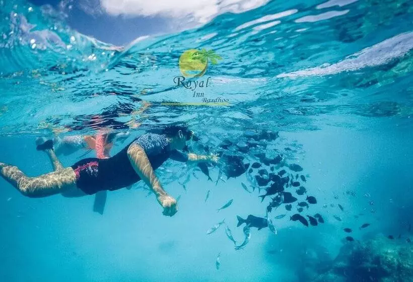 پانسیون Royal Inn Rasdhoo