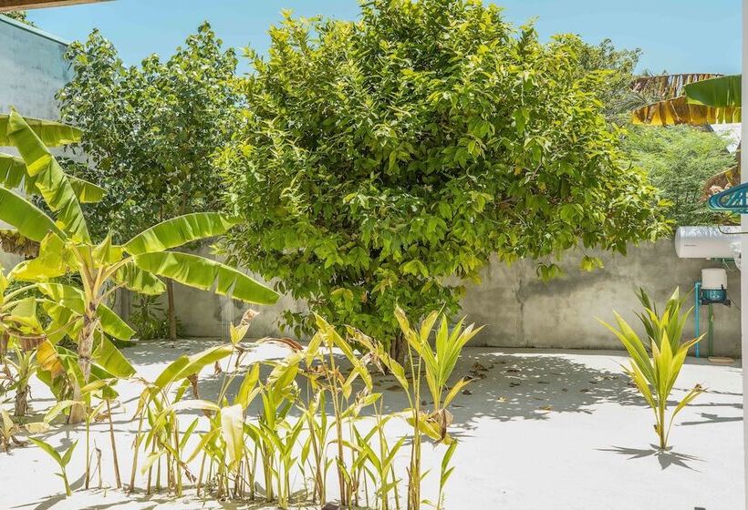 پانسیون Royal Inn Rasdhoo