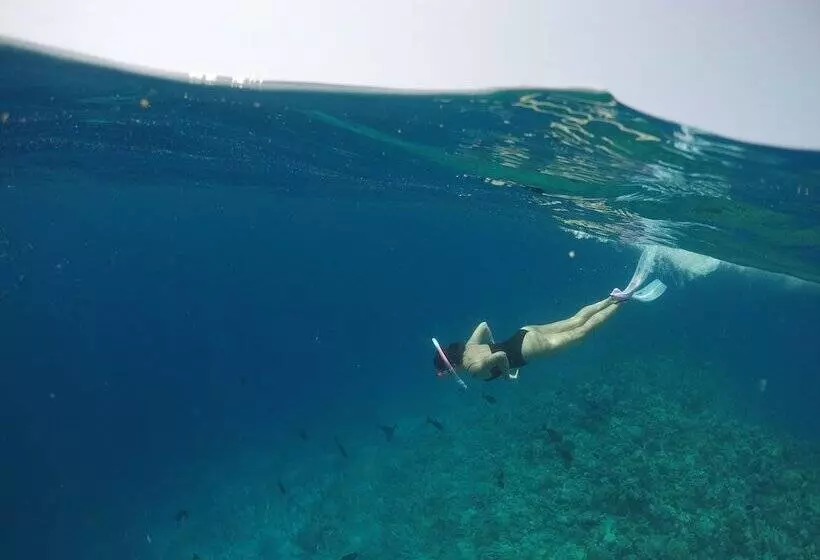 پانسیون Royal Inn Rasdhoo