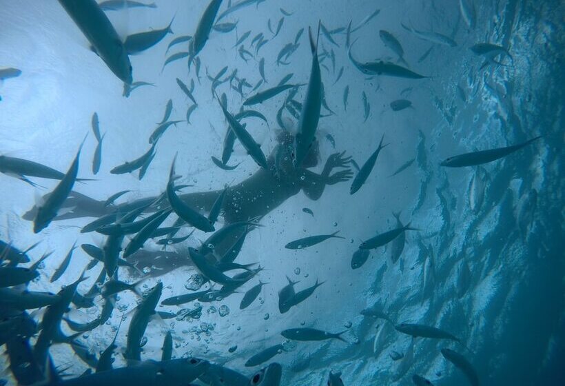 پانسیون Royal Inn Rasdhoo