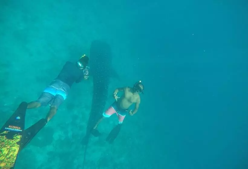 پانسیون Royal Inn Rasdhoo
