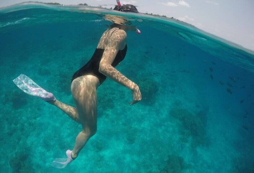 پانسیون Royal Inn Rasdhoo