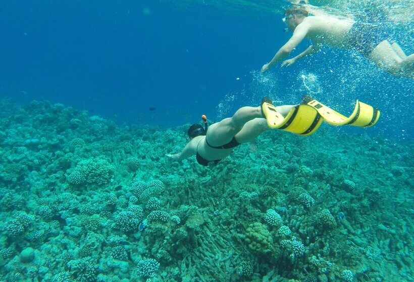 پانسیون Royal Inn Rasdhoo