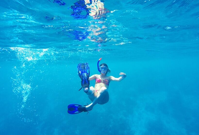 پانسیون Royal Inn Rasdhoo