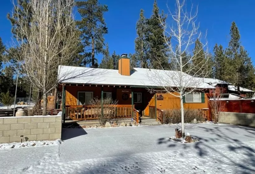 Black Bear S Lair