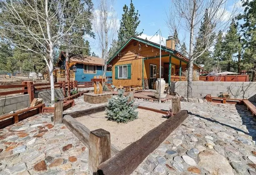 Black Bear S Lair