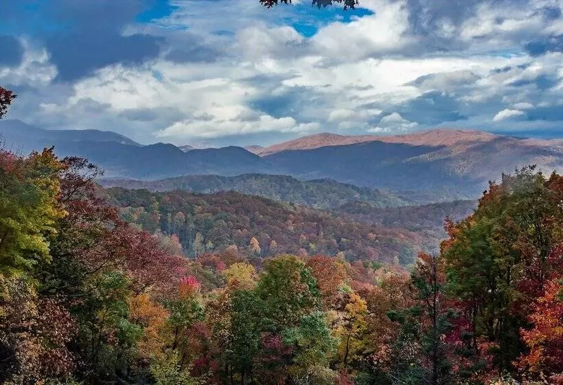 Beary Patch Hill