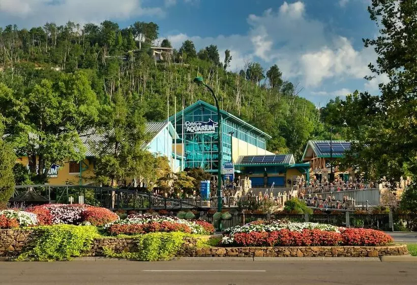 Beary Patch Hill