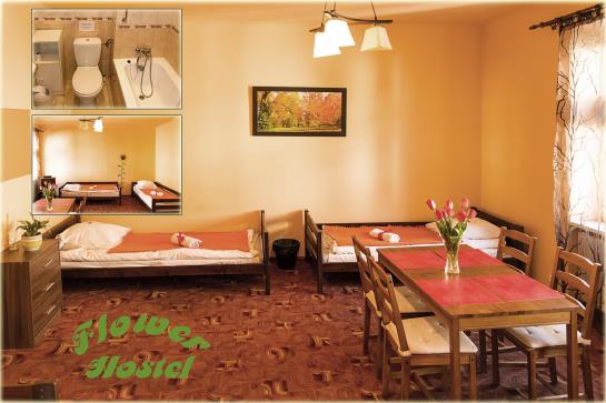 Общежитие Flower Rooms & Apartments