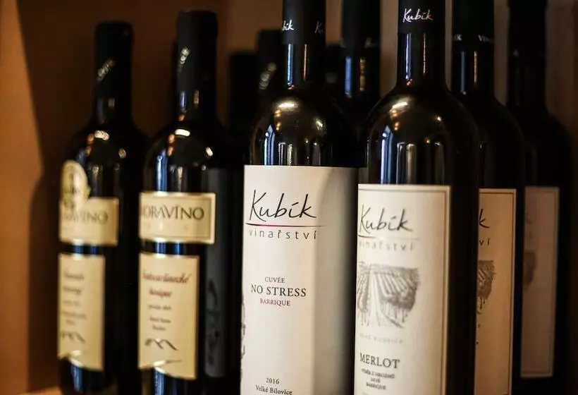 هتل Garni Konvice