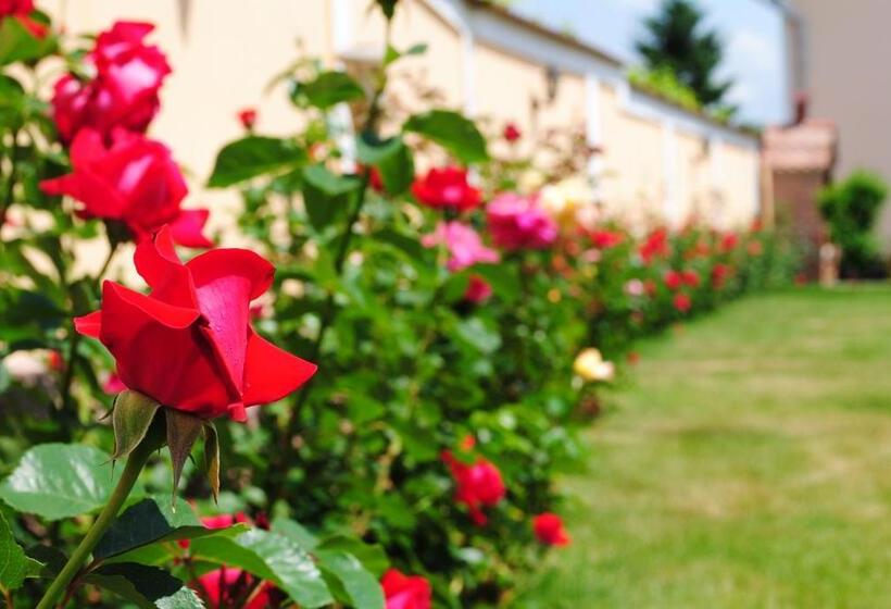 בית מלון כפרי Pension Artemis