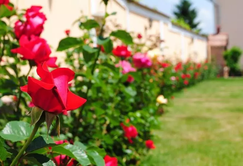 Hotel Pension Artemis