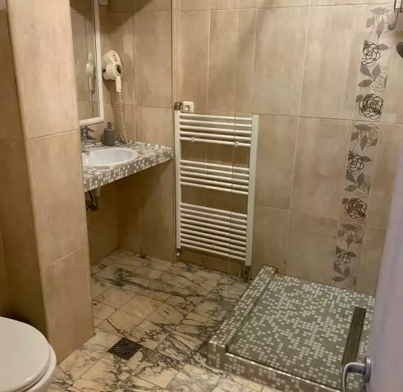 בית מלון כפרי Pensiunea Italiana